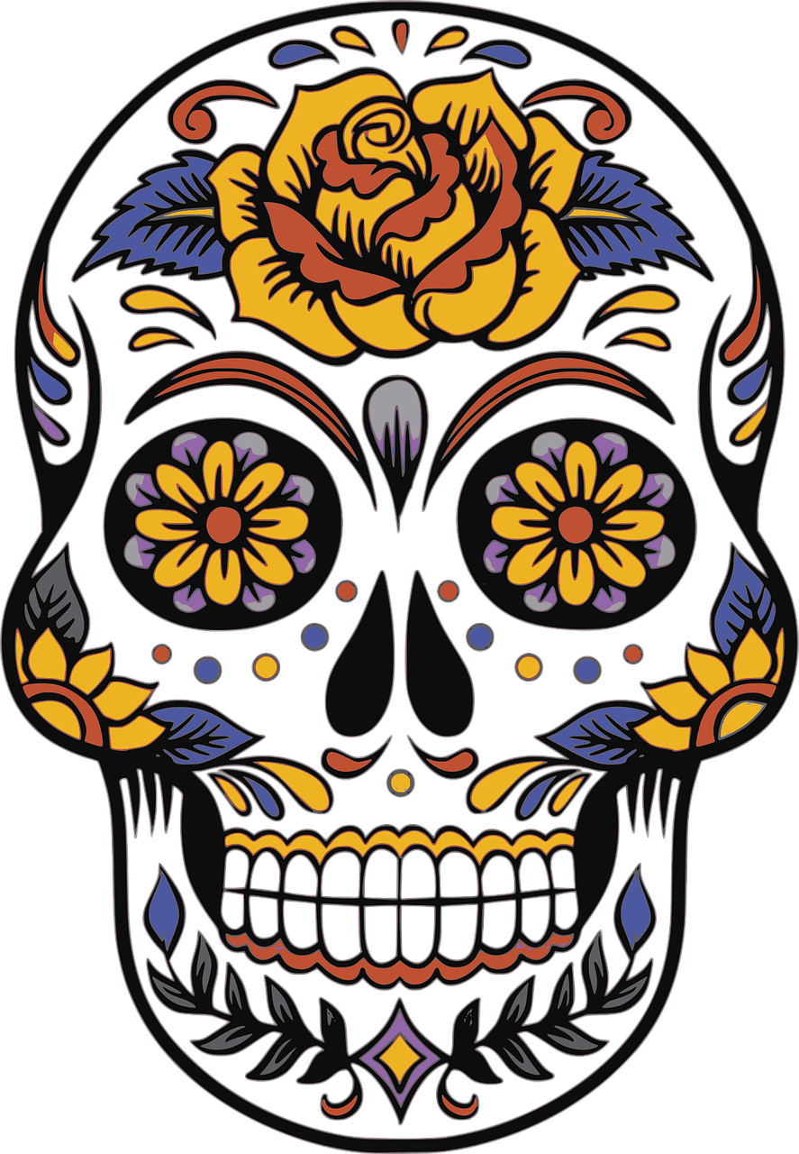 Picture of a skull to illustrate Halloween