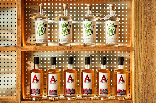 Arbike 2